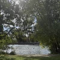 Enjoy the river view again and the tourist boats and many swans.