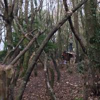 Small woodland playground/strip by the side of the road to keep little people (or the occasionally grown ups) entertained along the way!