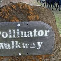 Turn left onto the old Bogie Line (old railway line) and head along the Pollinator Walkway