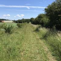 As you reach the end of the wood take the right track into the genially rolling farmland.