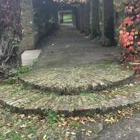 Follow the path round past the Mendelssohn Sundial on to go through the pergola, turn left and go along the other side of the formal garden