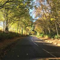 Bewlbridge Lane is such a beautiful way to arrive at Bewl Water in the picturesque town of Lamberhurst.