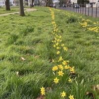 Don’t walk on the flowers, but feel free to deviate from the pavement to admire the spring and summer blooms!💐