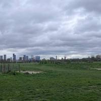 Coming out at the marshes gives a great view of Stratford