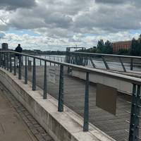 Wave to the rowers boating on the Fulham reach dock ( please stay of the pontoon)