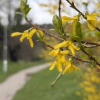 Keep an eye on the hedgerows for flowers and bugs. They’re a haven for all kinds of wildlife.