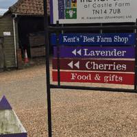 The Hop Shop in Shoreham is famous for its summer Lavender, but it is well worth a visit any time of year. 