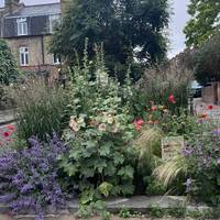 Turn right at the pretty street garden