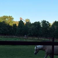 Take the car and drive up towards Lugnet Nature Reserve. On the way to the parking lot you'll pass by idyllic views 🐎