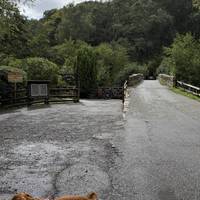 Reward yourself with a drink and some crisps at the Fingle Bridge Inn before continuing the circular route by turning right at the next map.