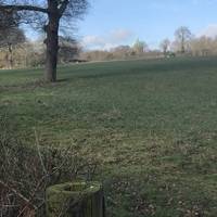 Go through the gate and do an immediate left, following the perimeter of the hedgerow. It bends slightly to the right towards the green dome