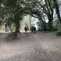 Plenty of horses to see (and poo!) around here on the main trails