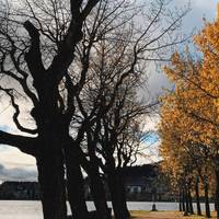 The sourondings are nothing else than stunning. And in the background you can see a glimpse of the island Frösön