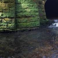 Once in the forest I tend to turn down left after the first bridge taking you past a small series of waterfalls and a fun tunnel to climb up