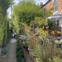 Follow Church Avenue, a secret leafy lane where gardens peek over walls and front gardens bloom.
