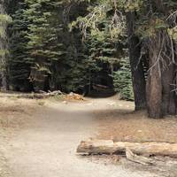 There are plenty of trees along the 1.1 mile route to keep you shaded