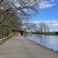 Turn left and start the clockwise loop of the lake.