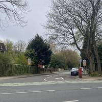 At the top of this road, cross it and head straight up, with the monkey puzzle tree to your left
