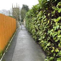 At the path junction, turn right and head past staggered metal barriers.