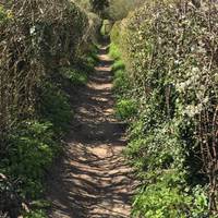 Follow this path until you reach the kissing gate. It should take about 10 minutes from the village to this gate.