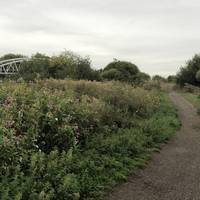 Cross the bridge across the River Trent. As you cross the bridge you leave Derbyshire and enter Leicestershire.