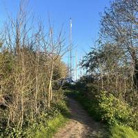 Now let’s go through a little path, where will this take us?🤔