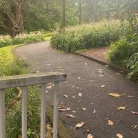 Turn left onto the tarmac path to enter Albert Park.