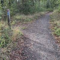 Turn left and follow the pink and white arrow for the Wood White Trail.