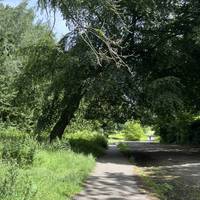 Follow the path further into the park. On your left you’ll see wild grasses and blackberry bushes blossoming in summer.