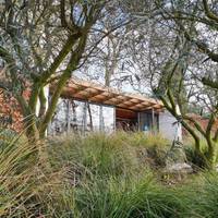 The cafe has a living roof, with wildflowers, logs and large stones to provide homes for wildlife.