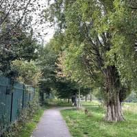 Follow the path along the perimeter until you reach the end of the field.