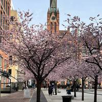Take your time and enjoy wandering under the trees. There are benches in the square if you’d like a seat.