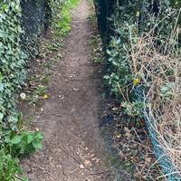 Take the footpath on your right. There are fences on either side here.