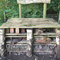 Begin at the Woodland Discovery Centre and cafe. To start this walk, look for the 5-star Bug Hotel.