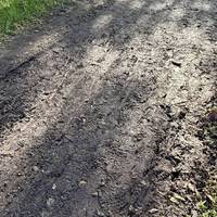 The paths are tarmac or stony however some parts of the gravel paths are old and have a covering of earth that can be slippery after rain.