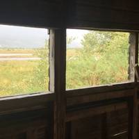Spend a moment in the hide, watching the wildlife of the flood plain