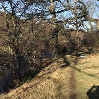 There is no traffic noise and only birds singing and the river noise,  there are a few up hill sections and then downhill through the woods 