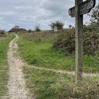 Pass through a gate. Continue ahead, gently uphill.