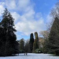 It’s a great place for a snowy walk too.