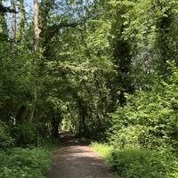 Walk for 250 metres along Kingsdown Lane.  This is Swindon’s only “restricted byway” - for walking, cycling and horse drawn carriages!