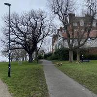 Keep to the right hand path, this is the steepest path in Hilly Fields.