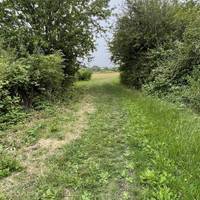 Follow the path as it bears left towards the opening in the trees and shrubbery.