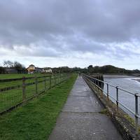 Follow the path with the play park on your left and River Taw on your right.