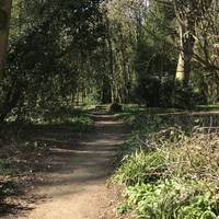 The woodland walk is well maintained