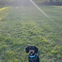 little Murph is loving it🐶🐾