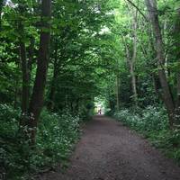 Head to Wanstead Park from Wanstead tube, its about a 10 minute walk