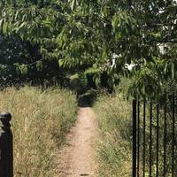 At the end of Church Rate Walk, turn right up the narrow path (Summerfield Drift) with the Caius College playing fields to your left.