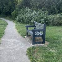 If you need a little rest, there is a bench that looks across the whole park.