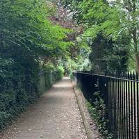 Continue along this path until you reach the end where you see a woodland