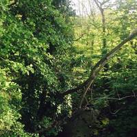 At the crossroads, turn right & pass over the bridge. Below, the River Sheaf winds it's way towards the City Centre.